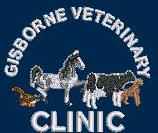 Gisborne Veterinary Clinic - left chest