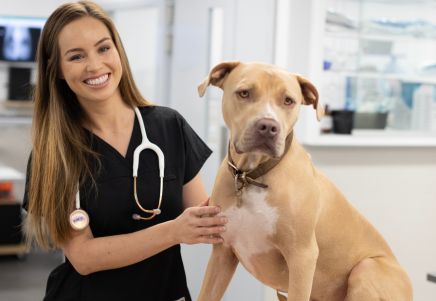 vet nursing scrubs australia