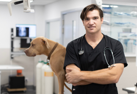 vet scrubs australia