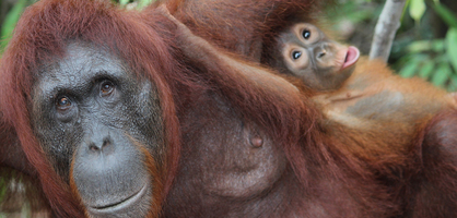 A lovely letter from a Happy Mediscrubs customer